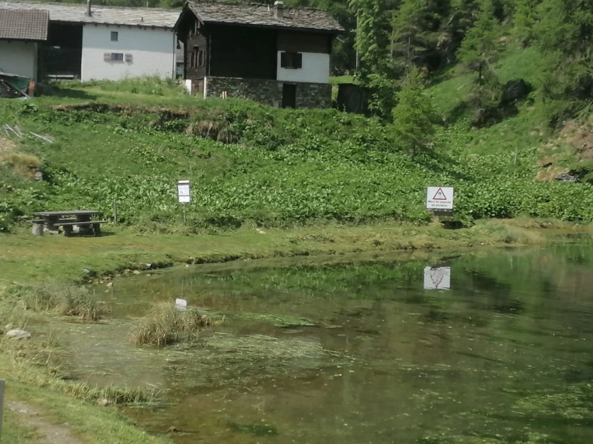 Abords du Lac de La Gouille