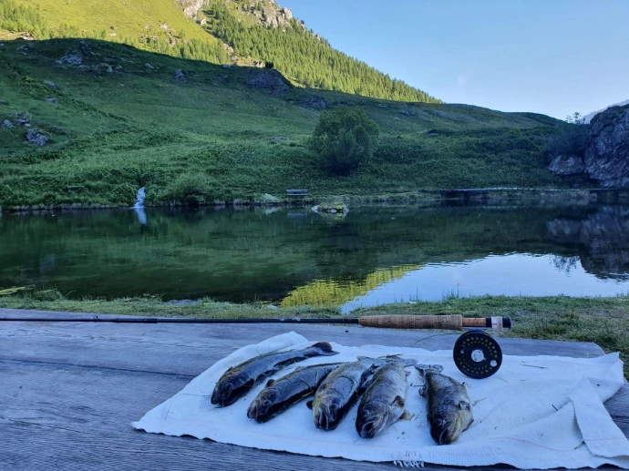 poissons pêchés devant le lac de pêche